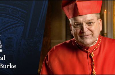 L’inimitié bergoglienne : le cardinal Burke dans la tourmente