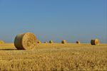 LES TERRES AGRICOLES FRANÇAISES SONT ACCAPARÉES PAR DES INVESTISSEURS, METTANT EN PÉRIL LA TRANSITION ÉCOLOGIQUE