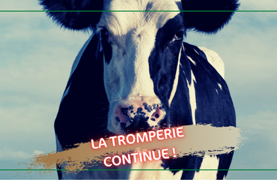 Pour le Conseil d’Etat, le consommateur n’a pas à être informé que la viande qu’il achète est issue de l’abattage rituel sans étourdissement