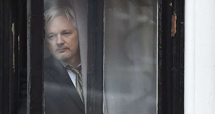 Assange