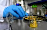 Laboratoires biologiques US: "Les Africains n’ont accès qu’à des zones bien déterminées"